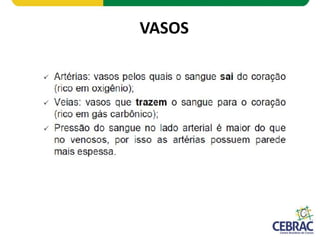 VASOS
 