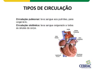 TIPOS DE CIRCULAÇÃO
 