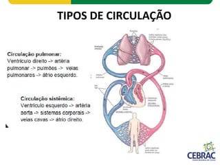 TIPOS DE CIRCULAÇÃO
 