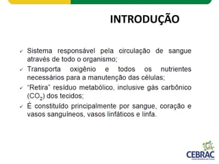 INTRODUÇÃO
 