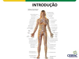 INTRODUÇÃO
 