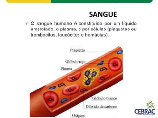 SANGUE
 