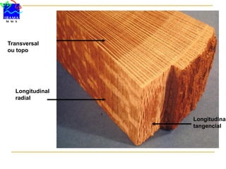 Transversal
ou topo
Longitudinal
radial
Longitudinal
tangencial
 
