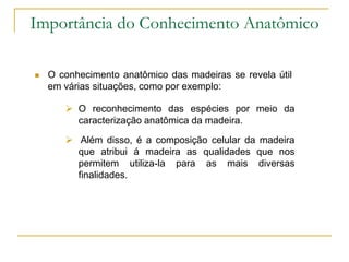 Importância do Conhecimento Anatômico
 O conhecimento anatômico das madeiras se revela útil
em várias situações, como por exemplo:
 O reconhecimento das espécies por meio da
caracterização anatômica da madeira.
 Além disso, é a composição celular da madeira
que atribui á madeira as qualidades que nos
permitem utiliza-la para as mais diversas
finalidades.
 