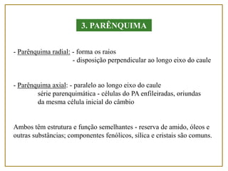 - Parênquima radial: - forma os raios
- disposição perpendicular ao longo eixo do caule
- Parênquima axial: - paralelo ao longo eixo do caule
série parenquimática - células do PA enfileiradas, oriundas
da mesma célula inicial do câmbio
Ambos têm estrutura e função semelhantes - reserva de amido, óleos e
outras substâncias; componentes fenólicos, sílica e cristais são comuns.
3. PARÊNQUIMA
 