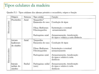 Tipos celulares da madeira
 