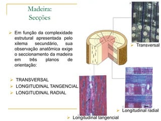 Madeira:
Secções
 Em função da complexidade
estrutural apresentada pelo
xilema secundário, sua
observação anatômica exige
o seccionamento da madeira
em três planos de
orientação:
 Transversal
 Longitudinal tangencial
 Longitudinal radial
 TRANSVERSAL
 LONGITUDINAL TANGENCIAL
 LONGITUDINAL RADIAL
 