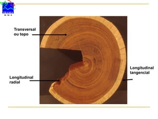 Longitudinal
radial
Transversal
ou topo
Longitudinal
tangencial
 