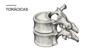 TORÁCICAS
 