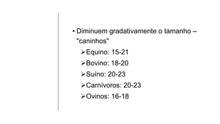 • Diminuem gradativamente o tamanho –
"caninhos"
Equino: 15-21
Bovino: 18-20
Suíno: 20-23
Carnívoros: 20-23
Ovinos: 16-18
 