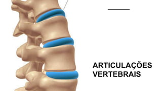 ARTICULAÇÕES
VERTEBRAIS
 
