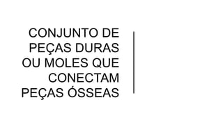 CONJUNTO DE
PEÇAS DURAS
OU MOLES QUE
CONECTAM
PEÇAS ÓSSEAS
 