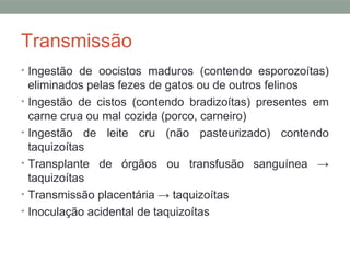 Transmissão
• Ingestão de oocistos maduros (contendo esporozoítas)
eliminados pelas fezes de gatos ou de outros felinos
• Ingestão de cistos (contendo bradizoítas) presentes em
carne crua ou mal cozida (porco, carneiro)
• Ingestão de leite cru (não pasteurizado) contendo
taquizoítas
• Transplante de órgãos ou transfusão sanguínea →
taquizoítas
• Transmissão placentária → taquizoítas
• Inoculação acidental de taquizoítas
 