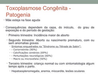 Toxoplasmose Congênita -
Patogenia
• Mãe esteja na fase aguda
• Consequências dependem da cepa, do inóculo, do grau de
exposição e do período de gestação:
• Primeiro trimestre: Incidência maior de aborto
• Segundo trimestre: Aborto ou nascimento prematuro, com ou
sem anomalias graves
• Sintomas enquadrados na “Síndrome ou Tétrade de Sabin”:
• - Coriorretinite (90%)
• - Calcificações cerebrais (69%)
• - Perturbações neurológicas (60%)
• - Macro ou microcefalia (50%)
• Terceiro trimestre: criança normal ou com sintomatologia algum
tempo após o parto.
• Hepatoesplenomegalia, anemia, miocardite, lesões oculares
 