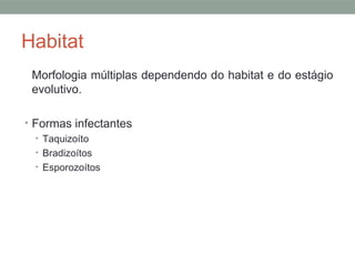 Habitat
Morfologia múltiplas dependendo do habitat e do estágio
evolutivo.
• Formas infectantes
• Taquizoíto
• Bradizoítos
• Esporozoítos
 