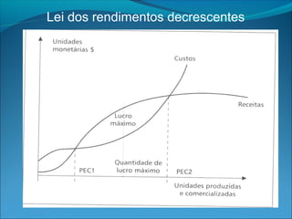 Lei dos rendimentos decrescentes 
 