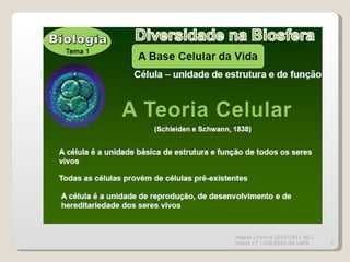 Magda Charrua 2010/2011 BG I turma CT - COLÉGIO DA LAPA 