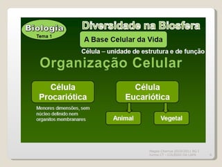 Magda Charrua 2010/2011 BG I turma CT - COLÉGIO DA LAPA 