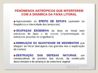 Magda Charrua BG II 2010/2011  COLÉGIO DA LAPA 