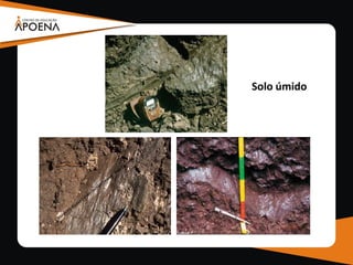 Solo úmido
 