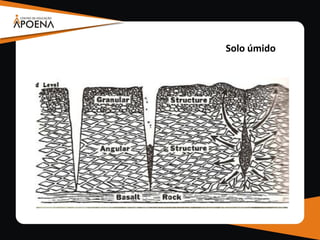 Solo úmido
 