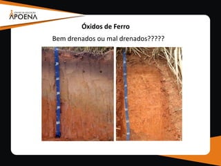 Óxidos de Ferro
Bem drenados ou mal drenados?????
 
