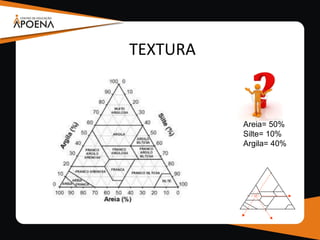 TEXTURA
Areia= 50%
Silte= 10%
Argila= 40%
 