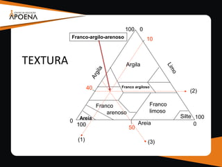TEXTURA
0
100 0
100
0100 Areia
Argila
Franco
arenoso
Franco
limoso
Franco argiloso
SilteAreia
10
40
50
(1)
(2)
(3)
Franco-argilo-arenoso
 