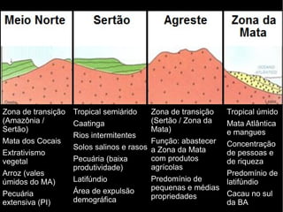 Tropical úmido 
Mata Atlântica 
e mangues 
Concentração 
de pessoas e 
de riqueza 
Predomínio de 
latifúndio 
Cacau no sul 
da BA 
Tropical semiárido 
Caatinga 
Rios intermitentes 
Solos salinos e rasos 
Pecuária (baixa 
produtividade) 
Latifúndio 
Área de expulsão 
demográfica 
Zona de transição 
(Amazônia / 
Sertão) 
Mata dos Cocais 
Extrativismo 
vegetal 
Arroz (vales 
úmidos do MA) 
Pecuária 
extensiva (PI) 
Zona de transição 
(Sertão / Zona da 
Mata) 
Função: abastecer 
a Zona da Mata 
com produtos 
agrícolas 
Predomínio de 
pequenas e médias 
propriedades 
 