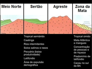 Tropical úmido 
Mata Atlântica 
e mangues 
Concentração 
de pessoas e 
de riqueza 
Predomínio de 
latifúndio 
Cacau no sul 
da BA 
Tropical semiárido 
Caatinga 
Rios intermitentes 
Solos salinos e rasos 
Pecuária (baixa 
produtividade) 
Latifúndio 
Área de expulsão 
demográfica 
 