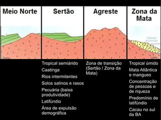 Tropical úmido 
Mata Atlântica 
e mangues 
Concentração 
de pessoas e 
de riqueza 
Predomínio de 
latifúndio 
Cacau no sul 
da BA 
Tropical semiárido 
Caatinga 
Rios intermitentes 
Solos salinos e rasos 
Pecuária (baixa 
produtividade) 
Latifúndio 
Área de expulsão 
demográfica 
Zona de transição 
(Sertão / Zona da 
Mata) 
 