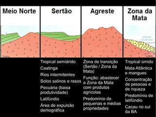 Tropical úmido 
Mata Atlântica 
e mangues 
Concentração 
de pessoas e 
de riqueza 
Predomínio de 
latifúndio 
Cacau no sul 
da BA 
Tropical semiárido 
Caatinga 
Rios intermitentes 
Solos salinos e rasos 
Pecuária (baixa 
produtividade) 
Latifúndio 
Área de expulsão 
demográfica 
Zona de transição 
(Sertão / Zona da 
Mata) 
Função: abastecer 
a Zona da Mata 
com produtos 
agrícolas 
Predomínio de 
pequenas e médias 
propriedades 
 