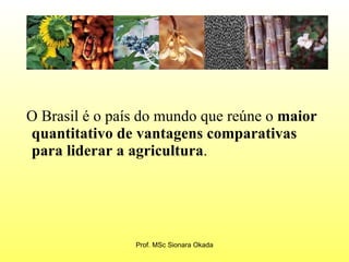 O Brasil é o país do mundo que reúne o  maior quantitativo de vantagens comparativas para liderar a agricultura .  Prof. MSc Sionara Okada 