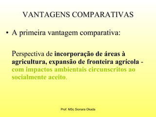 VANTAGENS COMPARATIVAS A primeira vantagem comparativa:  P erspectiva de  incorporação de áreas à agricultura, expansão de fronteira agrícola  -  com impactos ambientais circunscritos ao socialmente aceito .  Prof. MSc Sionara Okada 