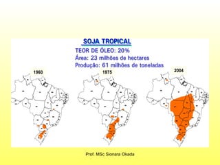 Prof. MSc Sionara Okada 