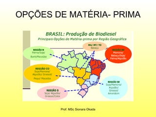 OPÇÕES DE MATÉRIA- PRIMA Prof. MSc Sionara Okada 