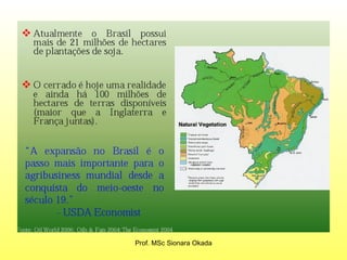 Prof. MSc Sionara Okada 