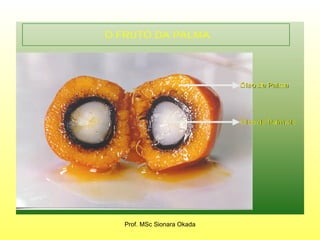 Prof. MSc Sionara Okada 