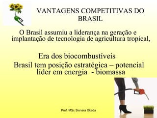 VANTAGENS COMPETITIVAS DO BRASIL O Brasil assumiu a liderança na geração e implantação de tecnologia de agricultura tropical,  Era dos biocombustíveis  Brasil tem posição estratégica – potencial líder em energia  - biomassa Prof. MSc Sionara Okada 