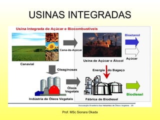 USINAS INTEGRADAS Prof. MSc Sionara Okada 