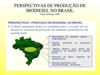 PERSPECTIVAS DE PRODUÇÃO DE BIODIESEL NO BRASIL Fonte: Embrapa, 2005. Prof. MSc Sionara Okada 