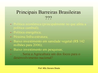 Prof. MSc Sionara Okada 