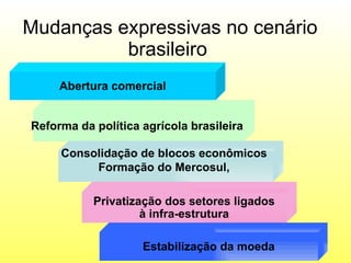 Mudanças expressivas no cenário brasileiro   Prof. MSc Sionara Okada Abertura comercial Reforma da política agrícola brasileira  Consolidação de blocos econômicos  Formação do Mercosul,  Privatização dos setores ligados à infra-estrutura  Estabilização da moeda 