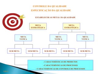 CONTROLE DA QUALIDADE
ESPECIFICAÇÃO DA QUALIDADE
CQ03.15
META
ESTRATÉGICA
META
ESTRATÉGICA
META
TÁTICA
META
TÁTICA
META
TÁTICA
SUB-META SUB-META SUB-META SUB-META SUB-META
- CARACTERÍSTICAS DE PRODUTOS
- CARACTERÍSTICAS DE PROCESSOS
- CARACTERÍSTICAS DE CONTROLE DE PROCESSOS
ESTABELECER AS METAS DA QUALIDADE
 