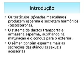 IntroduçãoIntrodução
• Os testículos (gônadas masculinas)
produzem esperma e secretam hormônios
(testosterona).
• O sistema de ductos transporta e
armazena esperma, auxiliando na
maturação e o conduz para o exterior.
• O sêmen contém esperma mais as
secreções das glândulas sexuais
acessórias
 
