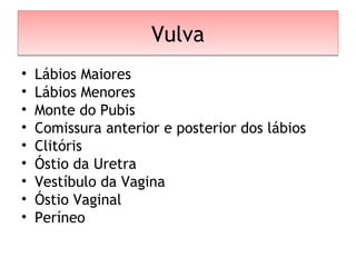 VulvaVulva
• Lábios Maiores
• Lábios Menores
• Monte do Pubis
• Comissura anterior e posterior dos lábios
• Clitóris
• Óstio da Uretra
• Vestíbulo da Vagina
• Óstio Vaginal
• Períneo
 