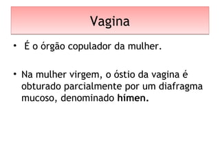 VaginaVagina
• É o órgão copulador da mulher.
• Na mulher virgem, o óstio da vagina é
obturado parcialmente por um diafragma
mucoso, denominado hímen.
 