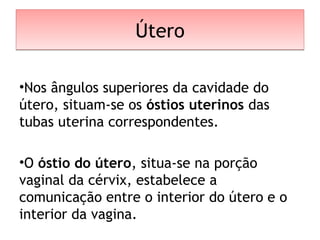 ÚteroÚtero
•Nos ângulos superiores da cavidade do
útero, situam-se os óstios uterinos das
tubas uterina correspondentes.
•O óstio do útero, situa-se na porção
vaginal da cérvix, estabelece a
comunicação entre o interior do útero e o
interior da vagina.
 