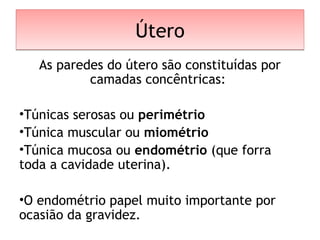 ÚteroÚtero
As paredes do útero são constituídas por
camadas concêntricas:
•Túnicas serosas ou perimétrio
•Túnica muscular ou miométrio
•Túnica mucosa ou endométrio (que forra
toda a cavidade uterina).
•O endométrio papel muito importante por
ocasião da gravidez.
 