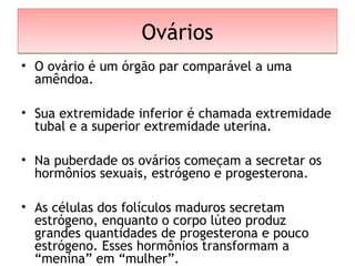 OváriosOvários
• O ovário é um órgão par comparável a uma
amêndoa.
• Sua extremidade inferior é chamada extremidade
tubal e a superior extremidade uterina.
• Na puberdade os ovários começam a secretar os
hormônios sexuais, estrógeno e progesterona.
• As células dos folículos maduros secretam
estrógeno, enquanto o corpo lúteo produz
grandes quantidades de progesterona e pouco
estrógeno. Esses hormônios transformam a
“menina” em “mulher”.
 